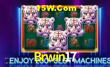 Brwin17 - Customer Support